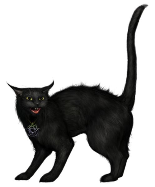 Download Transparent Cute Cat Transparent Cute Halloween Gif Pictures