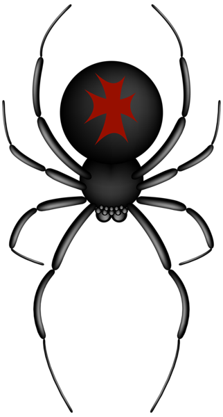 This png image - Crusader Spider Transparent PNG Clip Art Image, is available for free download