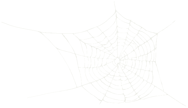 This png image - Halloween -Spider Web PNG Transparent Clipart, is available for free download