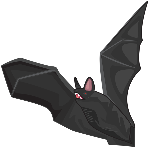 This png image - Halloween Black Bat PNG Clipart, is available for free download
