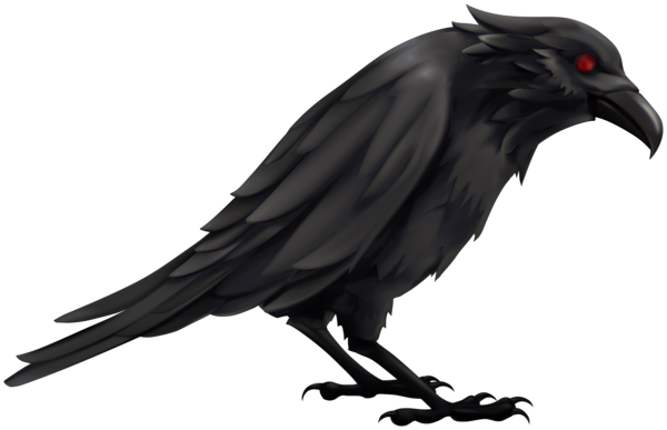 This png image - Halloween Black Raven PNG Clipart, is available for free download