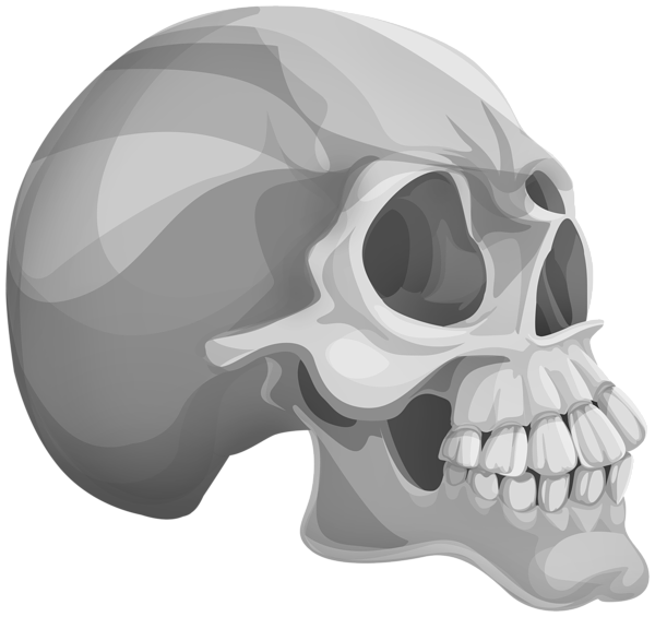 This png image - Halloween Skull PNG Clipart, is available for free download