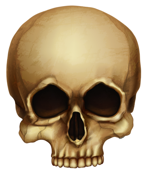 This png image - Halloween Skull PNG Picture, is available for free download