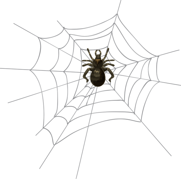 This png image - Halloween Spider Web PNG Clip Art, is available for free download