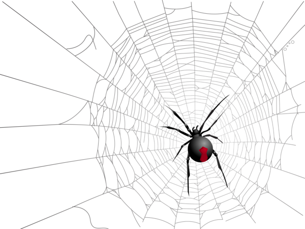 This png image - Halloween Transparent Net and Spider Picture, is available for free download