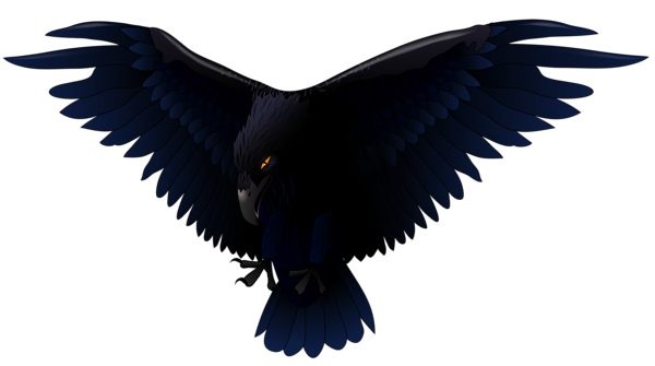 This png image - Scary Raven PNG Vector Clipart, is available for free download