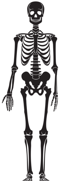 This png image - Skeleton Silhouette PNG Clip Art, is available for free download