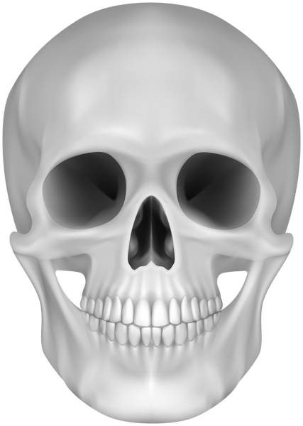 This png image - Skull Clipart, is available for free download