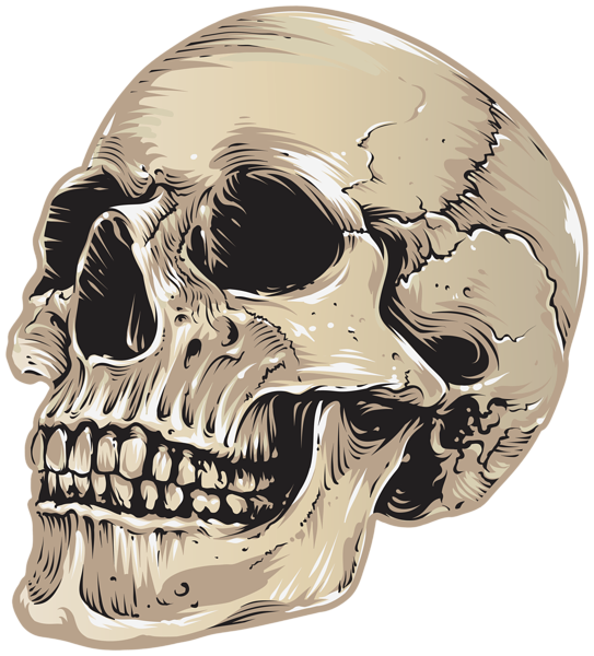 This png image - Skull Halloween Clipart, is available for free download