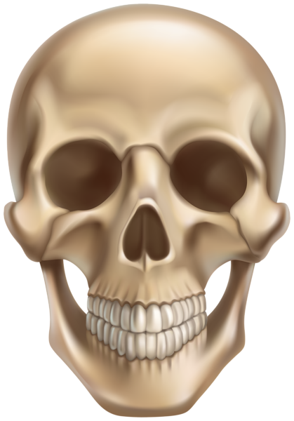 This png image - Skull Halloween PNG Clipart, is available for free download