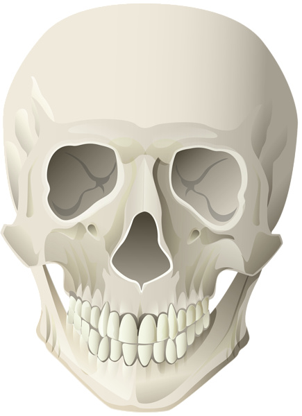 This png image - Skull PNG Clip Art Image, is available for free download