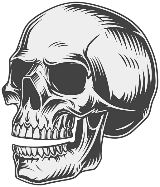 This png image - Skull PNG Clipart, is available for free download