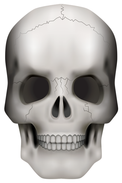 Skull PNG Clipart Image | Gallery Yopriceville - High-Quality Images