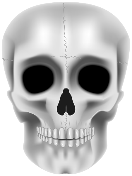 This png image - Skull Transparent PNG Clip Art Image, is available for free download