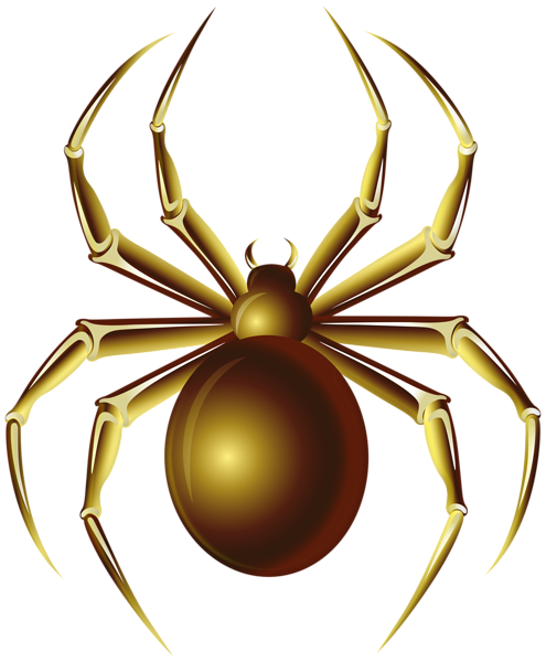 This png image - Spider PNG Transparent Clipart, is available for free download