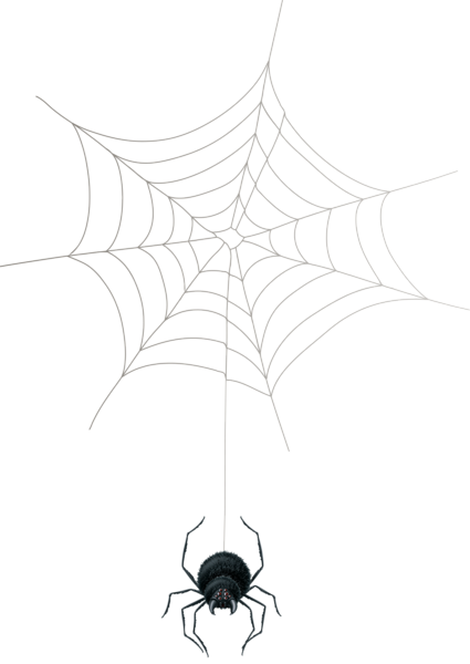 This png image - Spider Web PNG Clip Art, is available for free download