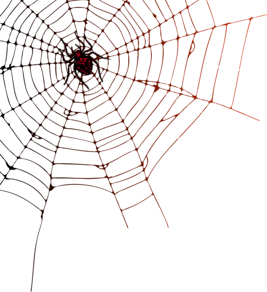 This png image - Spider Web PNG Clip Art Image, is available for free download