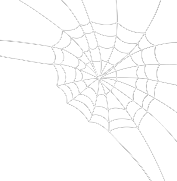 This png image - Spider Web PNG Clipart, is available for free download