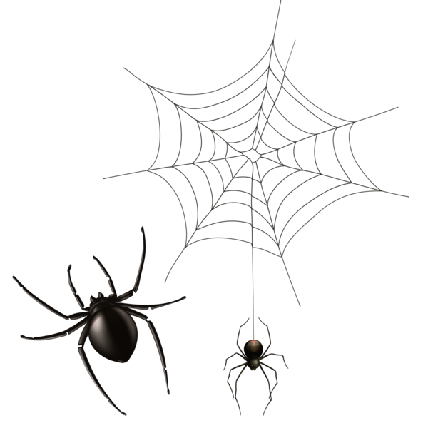 This png image - Spider and Cobweb PNG Clipart Image, is available for free download