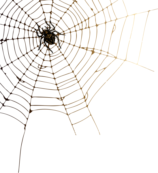 This png image - Spider and Web PNG Clip Art Image, is available for free download
