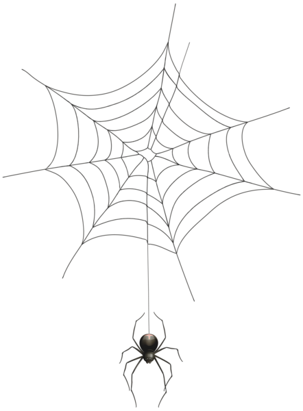 Spider and Web Transparent Clip Art Image | Gallery ...