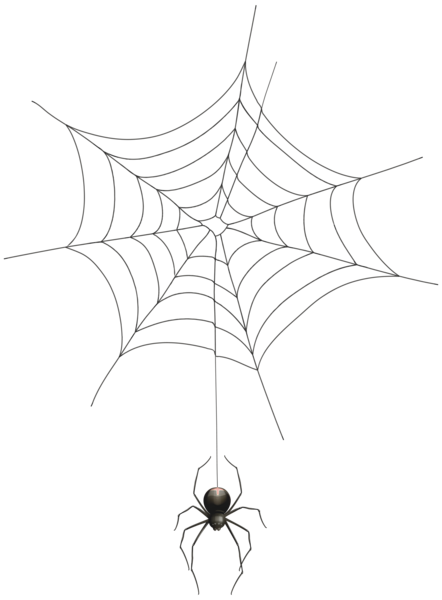 This png image - Spider and Web Transparent Clip Art Image, is available for free download