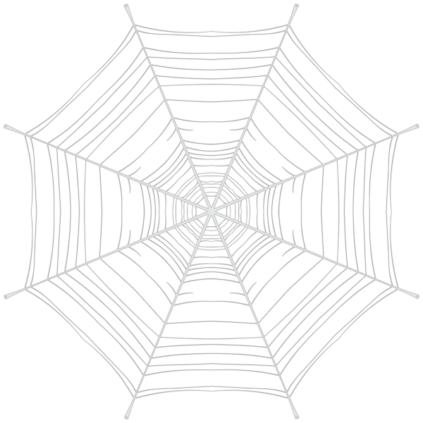 This png image - White Spider Web PNG Clipart, is available for free download