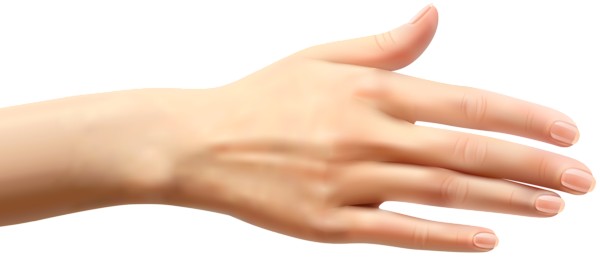Female Hand PNG Clip Art | Gallery Yopriceville - High-Quality Images