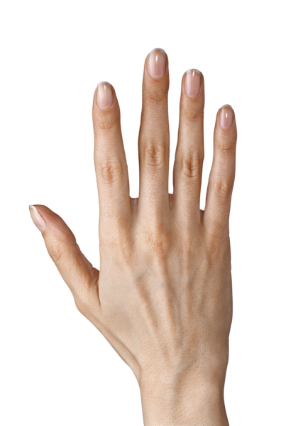 This png image - Hand Showing Five Fingers PNG Clipart Image, is available for free download