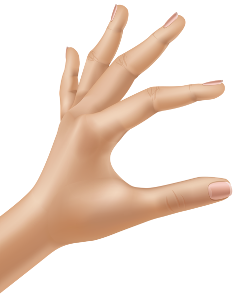 This png image - Hand Transparent PNG Clip Art Image, is available for free download