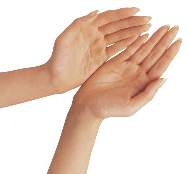 This png image - Two Hands PNG Clipart Image, is available for free download