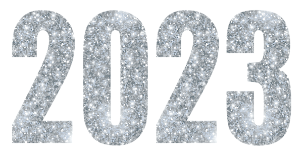 This png image - 2023 Flat Silver Large PNG Image, is available for free download