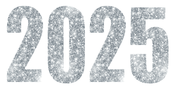 This png image - 2025 Flat Silver Large PNG Image, is available for free download
