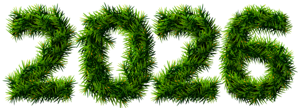This png image - 2026 Pine Transparent Clipart Picture, is available for free download