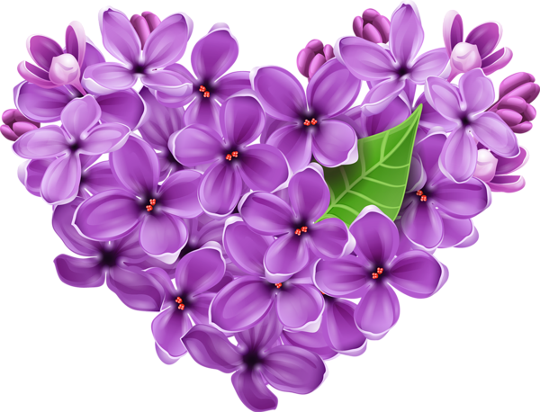 This png image - Purple Lilac Heart PNG Picture, is available for free download