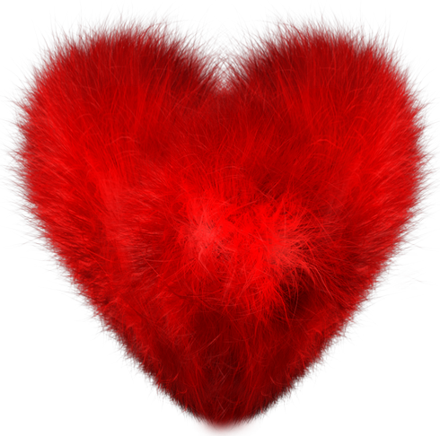 This png image - Red Fuzzy Heart PNG Clipart Picture, is available for free download