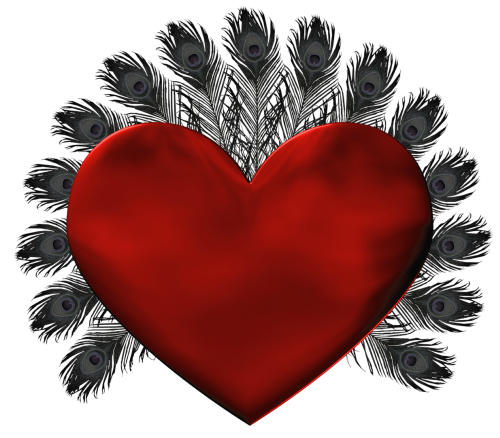 This png image - Red Heart with Black Feathers PNG Clipart, is available for free download