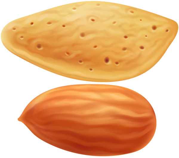 This png image - Almond Transparent Clip Art Image, is available for free download