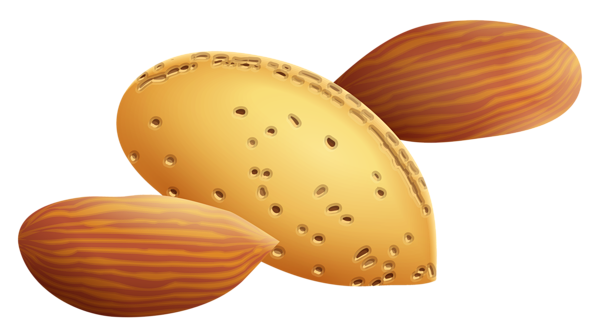 This png image - Almonds PNG Clipart Picture, is available for free download