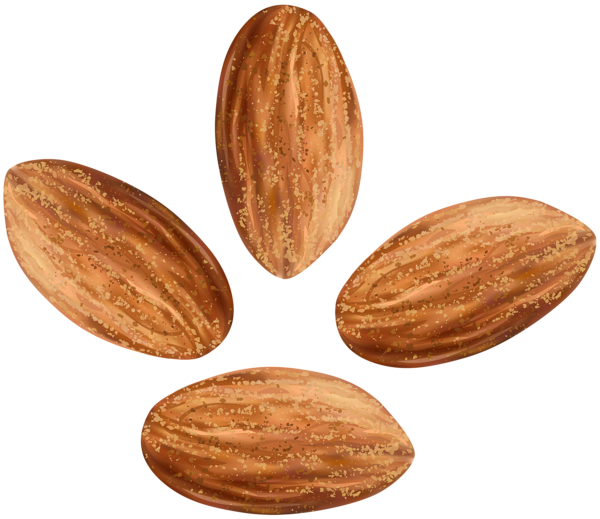 This png image - Almonds Transparent Clip Art Image, is available for free download