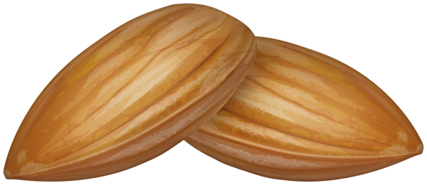 This png image - Almonds Transparent Image, is available for free download