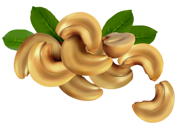 This png image - Cashew Nuts PNG Clipart Image, is available for free download