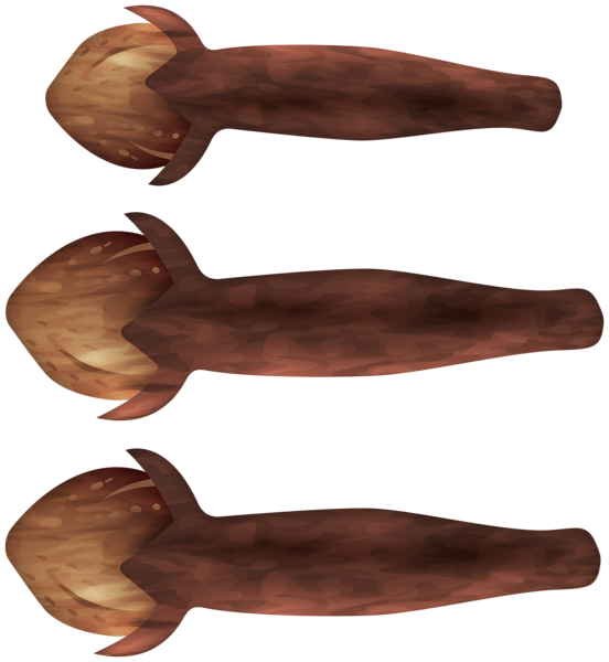 This png image - Clove Spice PNG Clipart Image, is available for free download