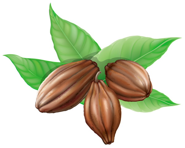 This png image - Cocoa Beans PNG Clipart Picture, is available for free download