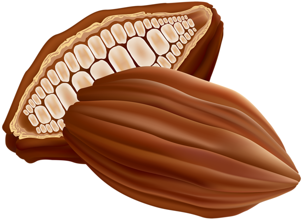 This png image - Cocoa PNG Clip Art Image, is available for free download