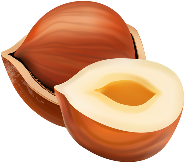 This png image - Hazelnut Clip Art Image, is available for free download
