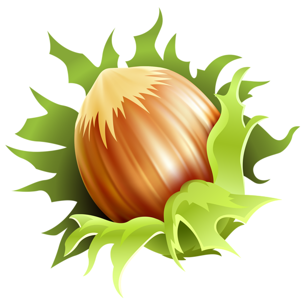 This png image - Hazelnut PNG Clipart Image, is available for free download