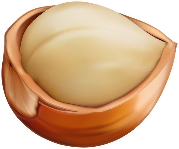 This png image - Hazelnuts PNG Clip Art, is available for free download