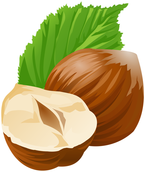This png image - Hazelnuts PNG Clip Art Image, is available for free download