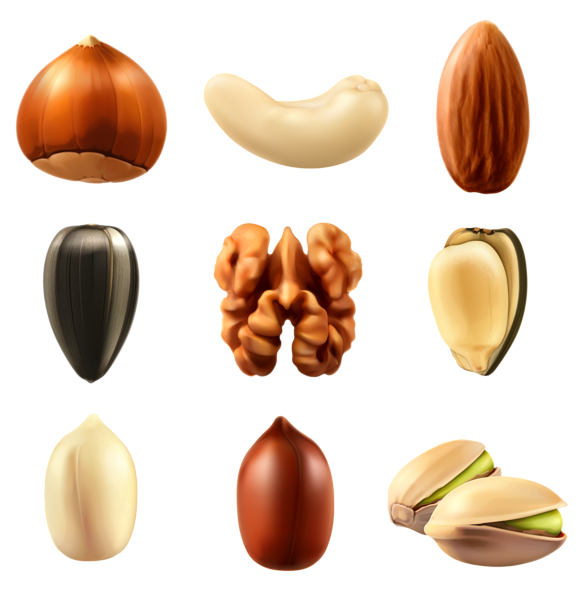 This png image - Nuts Collection PNG Clipar Image, is available for free download